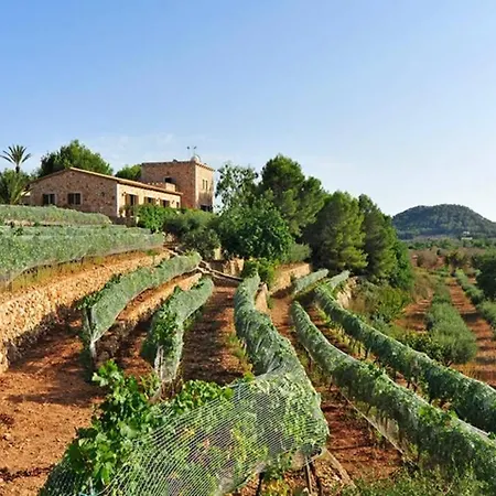Villa Es Castell De Ca N'alou De Ses Cases Noves *