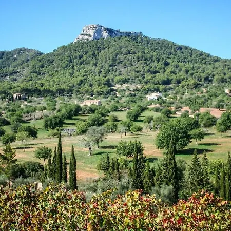 Es Castell De Ca N'alou De Ses Cases Noves * S'Horta